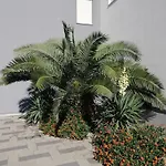 Apartamento Zatonka 2 Zaton (Zadar)